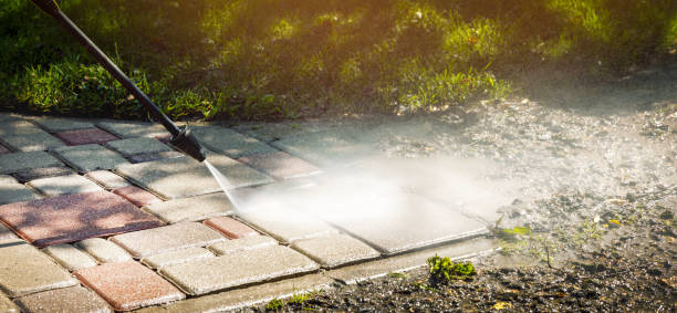 Best Animal Enclosure Cleaning  in Williamson, WV