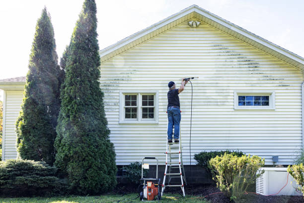 Trusted Williamson, WV Pressure Washing Experts